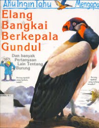 Elang Bangkai Berkepala Gundul