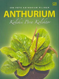 Anthurium Koleksi Para Kolektor