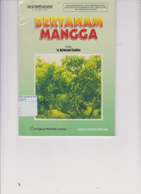 Bertanam Mangga