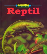 Reptil