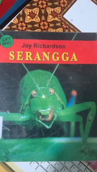 Serangga