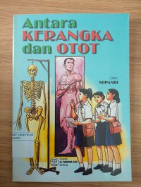 Antara Kerangka dan Otot