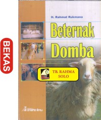 Beternak Domba