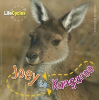 Joey to Kangoroo : Daur Hidup Kanguru